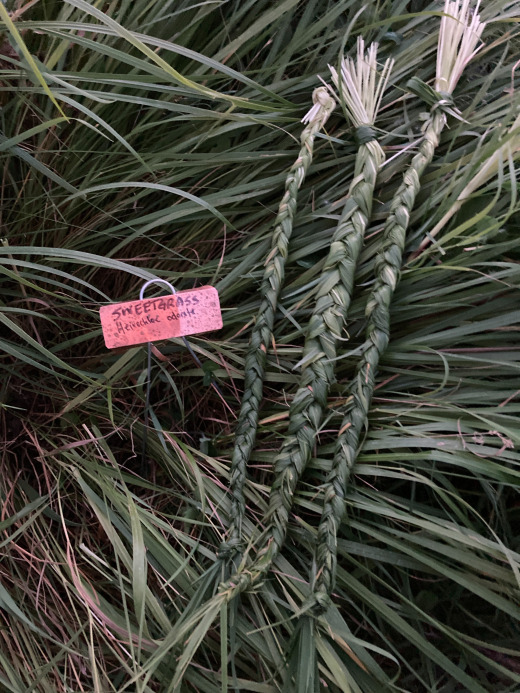 Sweetgrass braids